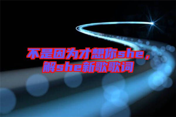 不是因為才想你she，解she新歌歌詞