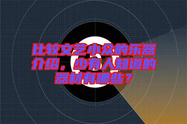 比較文藝小眾的樂器介紹，少有人知道的器材有哪些？