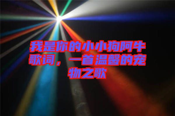 我是你的小小狗阿牛歌詞，一首溫馨的寵物之歌