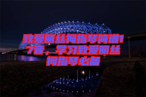 致愛麗絲拇指琴簡譜17音，學(xué)習(xí)致愛麗絲拇指琴必備