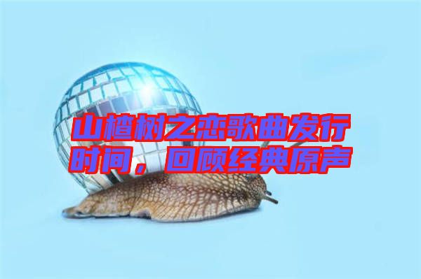山楂樹之戀歌曲發(fā)行時間，回顧經(jīng)典原聲