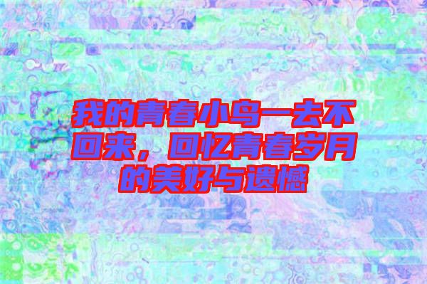我的青春小鳥(niǎo)一去不回來(lái)，回憶青春歲月的美好與遺憾