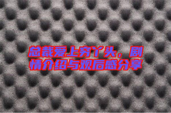 總裁愛上窮丫頭，劇情介紹與觀后感分享