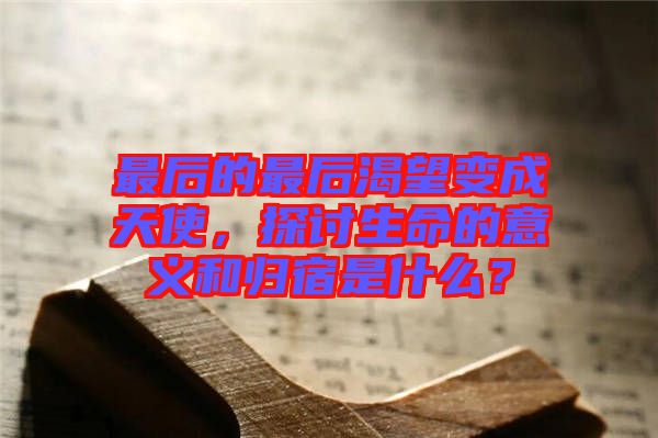 最后的最后渴望變成天使，探討生命的意義和歸宿是什么？