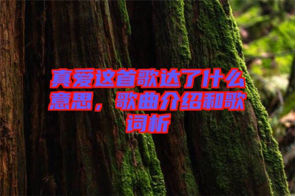 真愛這首歌達了什么意思，歌曲介紹和歌詞析