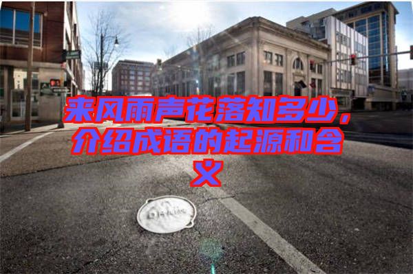 來(lái)風(fēng)雨聲花落知多少，介紹成語(yǔ)的起源和含義