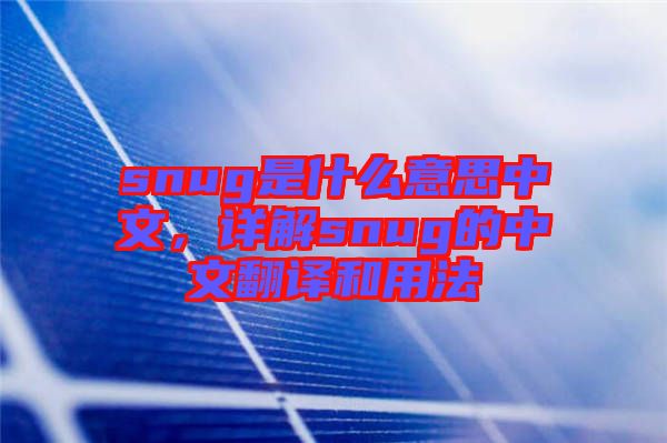 snug是什么意思中文，詳解snug的中文翻譯和用法