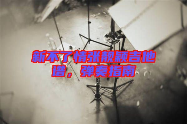 新不了情張靚穎吉他譜，彈奏指南