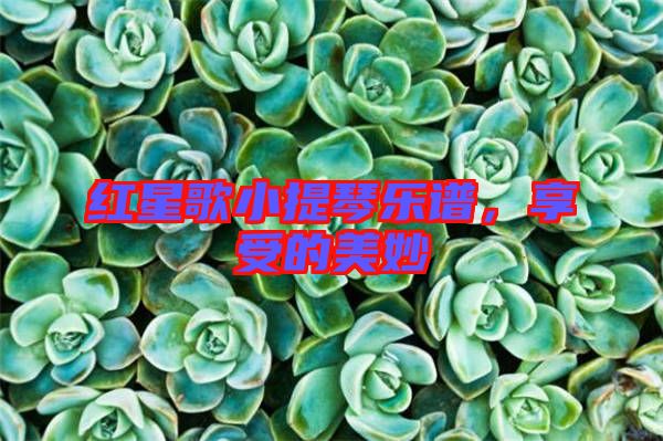 紅星歌小提琴樂譜，享受的美妙
