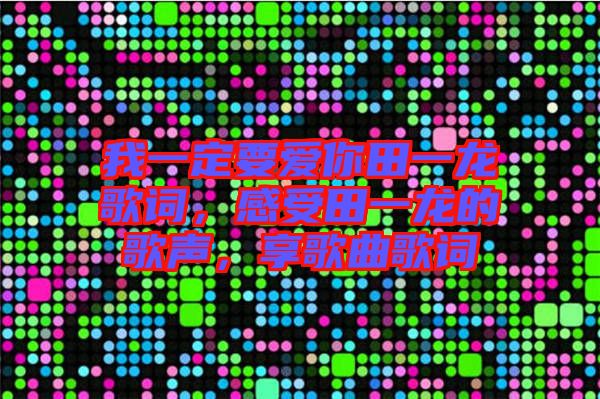 我一定要愛你田一龍歌詞，感受田一龍的歌聲，享歌曲歌詞
