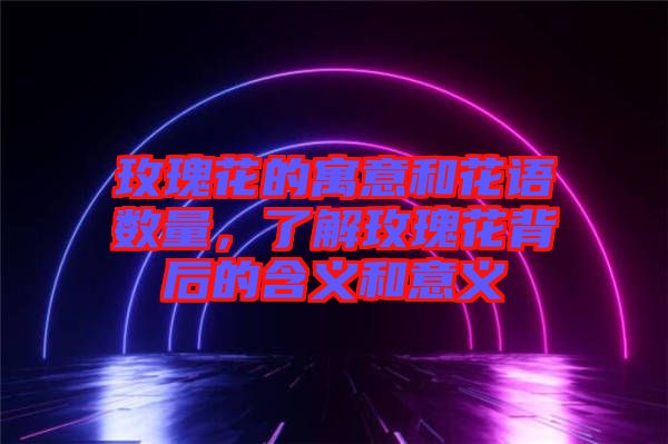 玫瑰花的寓意和花語數(shù)量，了解玫瑰花背后的含義和意義