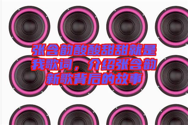 張含韻酸酸甜甜就是我歌詞，介紹張含韻新歌背后的故事