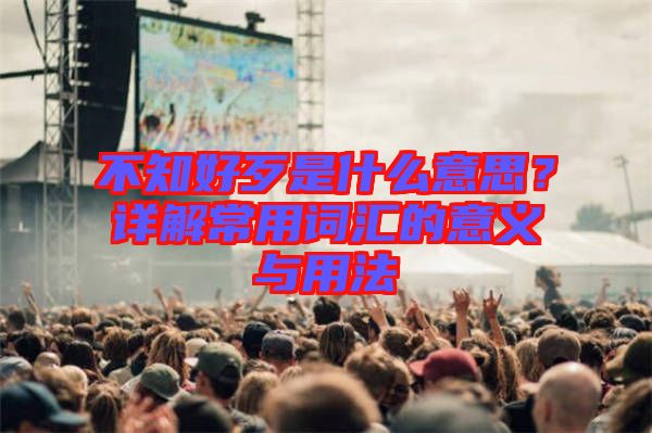 不知好歹是什么意思？詳解常用詞匯的意義與用法