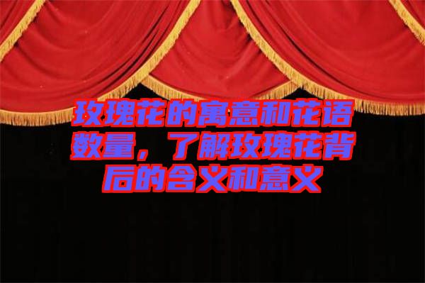 玫瑰花的寓意和花語數(shù)量，了解玫瑰花背后的含義和意義