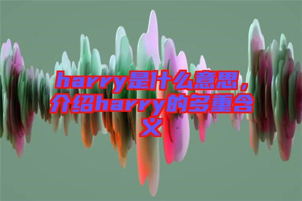 harry是什么意思，介紹harry的多重含義