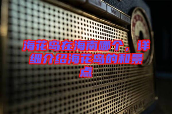 ?；◢u在海南哪個(gè)，詳細(xì)介紹?；◢u的和景點(diǎn)