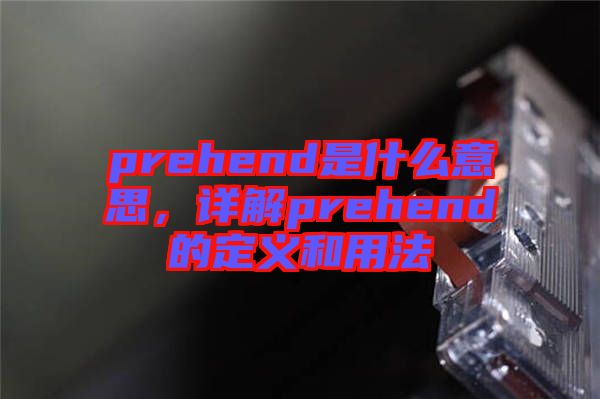 prehend是什么意思，詳解prehend的定義和用法