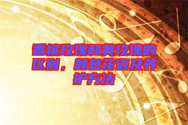 香檳玫瑰和黃玫瑰的區(qū)別，顏色花語及養(yǎng)護(hù)方法