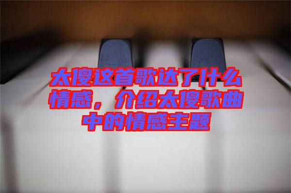 太傻這首歌達了什么情感，介紹太傻歌曲中的情感主題