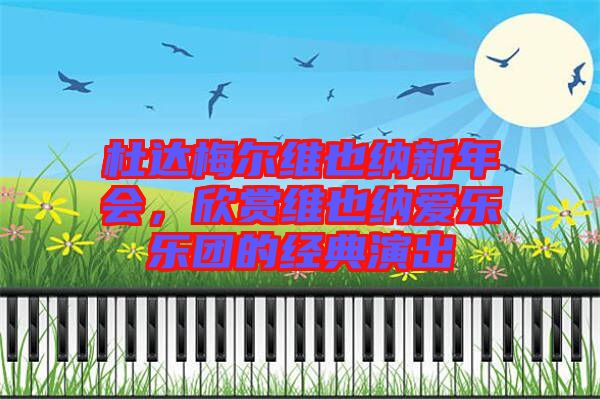 杜達(dá)梅爾維也納新年會(huì)，欣賞維也納愛樂(lè)樂(lè)團(tuán)的經(jīng)典演出