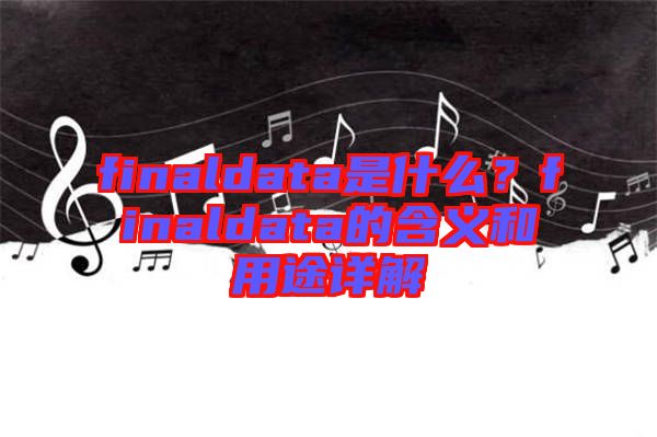 finaldata是什么？finaldata的含義和用途詳解