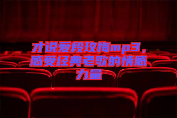 才說愛段玫梅mp3，感受經(jīng)典老歌的情感力量