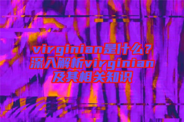 virginian是什么？深入解析virginian及其相關(guān)知識