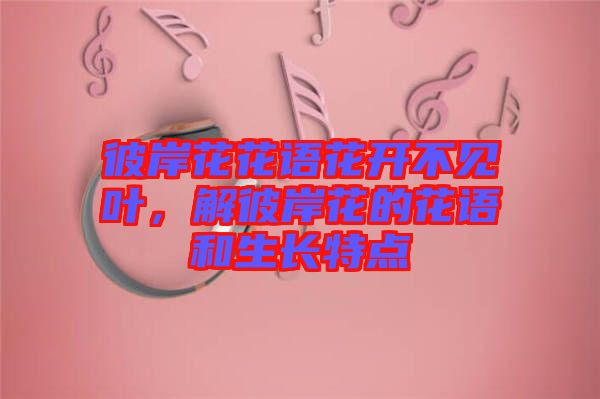 彼岸花花語花開不見葉，解彼岸花的花語和生長特點
