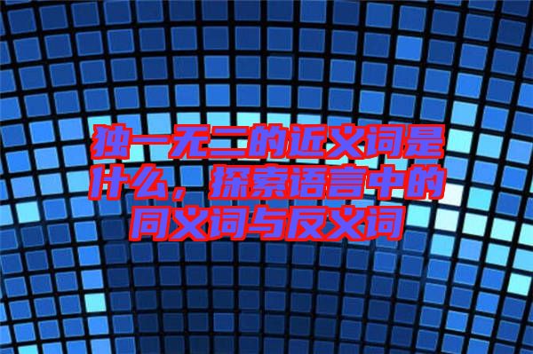 獨一無二的近義詞是什么，探索語言中的同義詞與反義詞