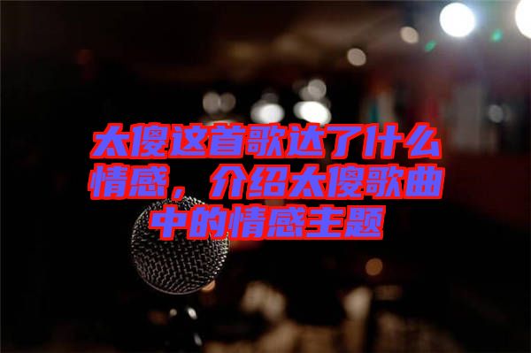 太傻這首歌達(dá)了什么情感，介紹太傻歌曲中的情感主題