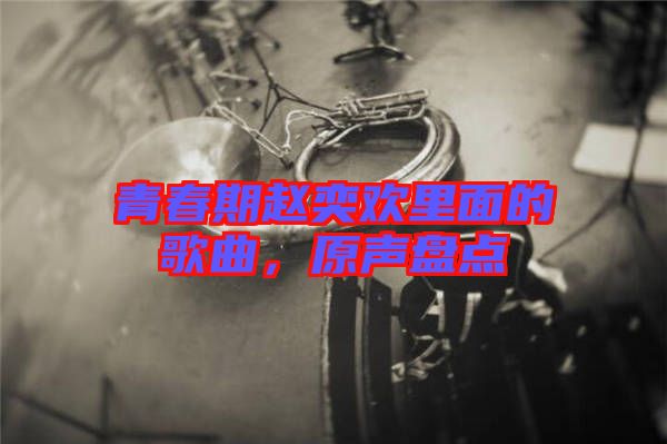 青春期趙奕歡里面的歌曲，原聲盤點(diǎn)