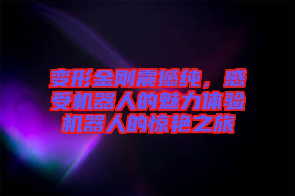 變形金剛震撼純，感受機(jī)器人的魅力體驗機(jī)器人的驚艷之旅