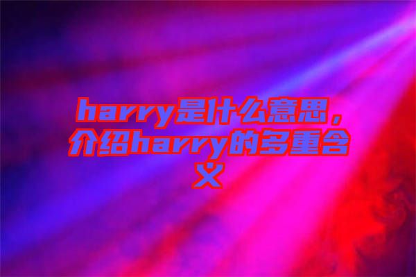 harry是什么意思，介紹harry的多重含義