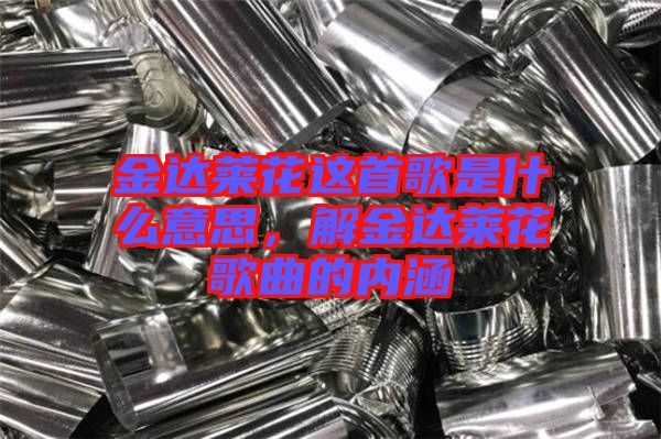 金達(dá)萊花這首歌是什么意思，解金達(dá)萊花歌曲的內(nèi)涵