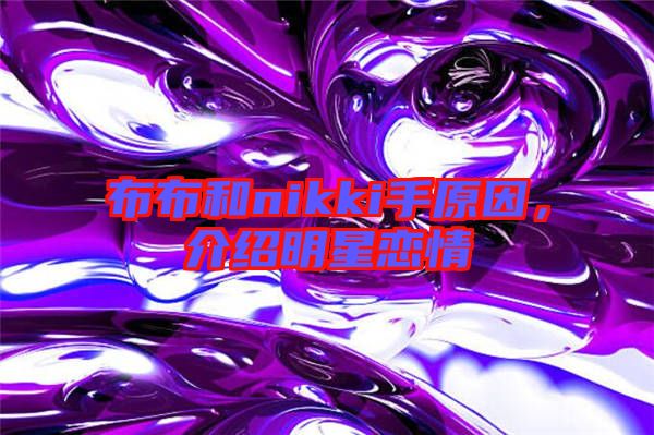 布布和nikki手原因，介紹明星戀情