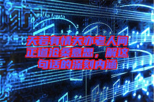 天若有情天亦老人間正道滄桑意思，解這句話的深刻內(nèi)涵