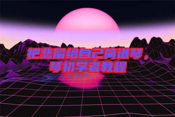 把悲留給自己簡譜琴，琴初學(xué)者教程