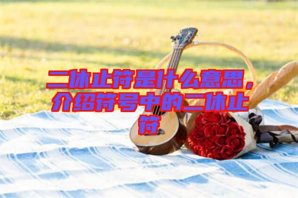 二休止符是什么意思，介紹符號中的二休止符