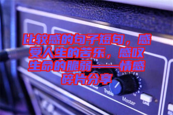 比較感的句子短句，感受人生的苦樂，感嘆生命的脆弱——情感碎片分享