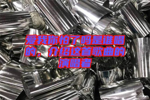 愛我你怕了嗎是誰唱的，介紹這首歌曲的演唱者