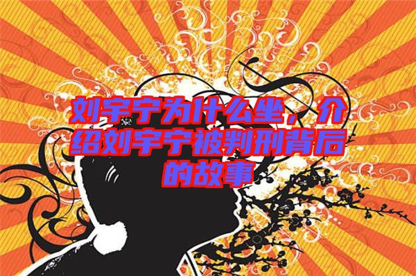 劉宇寧為什么坐，介紹劉宇寧被判刑背后的故事