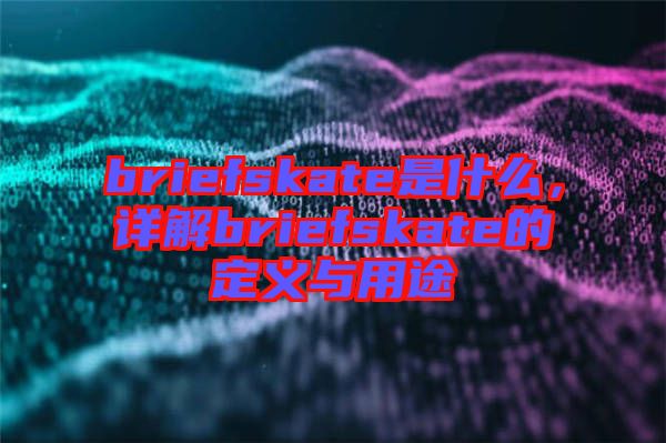 briefskate是什么，詳解briefskate的定義與用途