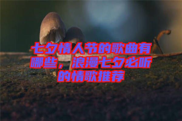 七夕情人節(jié)的歌曲有哪些，浪漫七夕必聽(tīng)的情歌推薦