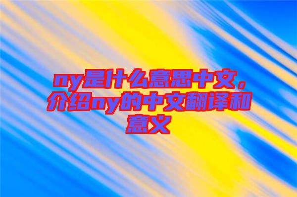 ny是什么意思中文，介紹ny的中文翻譯和意義