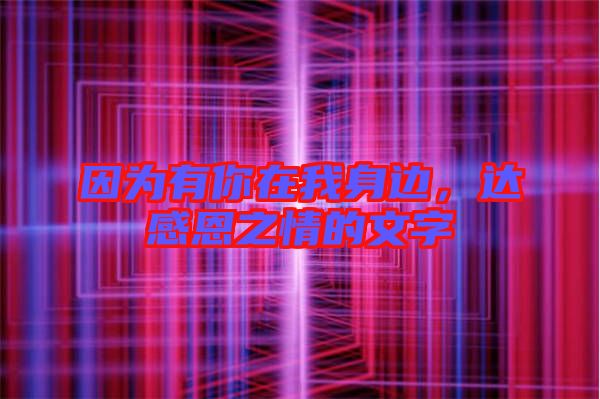 因?yàn)橛心阍谖疑磉?，達(dá)感恩之情的文字