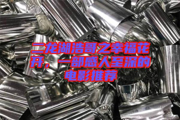 二龍湖浩哥之幸?；ㄩ_，一部感人至深的電影推薦