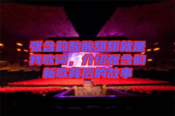 張含韻酸酸甜甜就是我歌詞，介紹張含韻新歌背后的故事