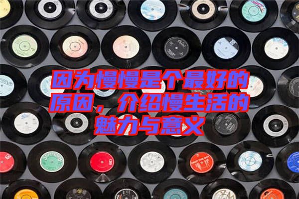 因?yàn)槁莻€(gè)最好的原因，介紹慢生活的魅力與意義