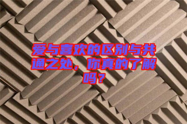 愛與喜歡的區(qū)別與共通之處，你真的了解嗎？