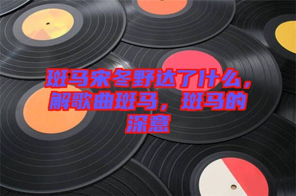 斑馬宋冬野達(dá)了什么，解歌曲斑馬，斑馬的深意
